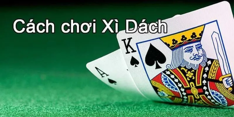 xì dách 77BET